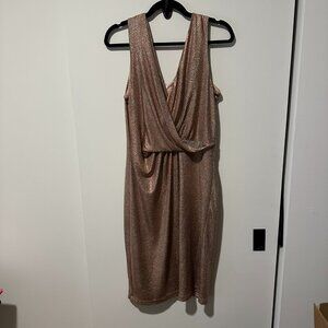 Donna Ricco New York Metallic Sheath Dress – Size 12